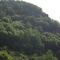 IMGP2537_缩小大小
