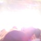 DSC02239