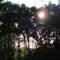 DSC01897