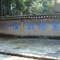 DSC01893