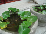 DSC00670副本