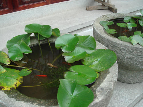 DSC00670副本