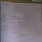 IMGA0365