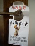 看来该养只狗了..