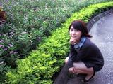 身边的绿色