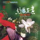 vol 2