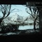 Picture 023