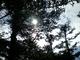 DSCN00080712