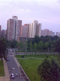 02072007336