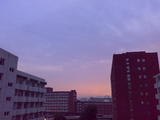 03072007337