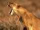 Webshots_28011