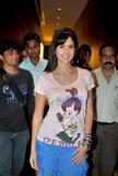 still7