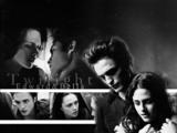 twilight (80)
