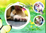 20080401