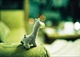 large_6500j56