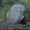 美丽中国1_18