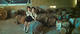 泪王子[20091227-0154284]