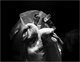 britta_trygstad_photo_08_08