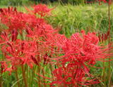 20070901_897a20e3a09c9b5bf22ccc5Oeh5xDvN