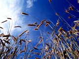 nature_0024