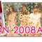 sokuhou_banner_kobe