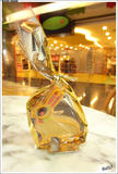 20090406ricoh395