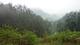 后山