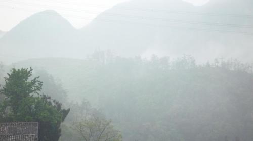 村左雨雾