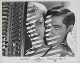 Annex%20-%20Miles,%20Vera%20(Psycho)_NRFPT_01