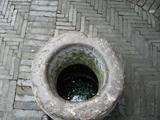 DSC00337