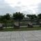 DSCF9201