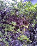 IMG0374A