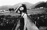 宫崎葵