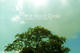 2fc50031b871ea15ebc4af5c