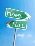which,where,,