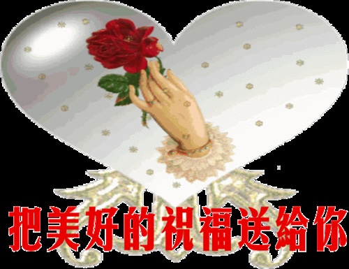 网络情缘