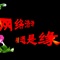 网络情缘