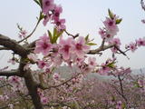 DSC00187