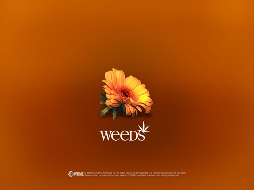 单身毒妈Weeds