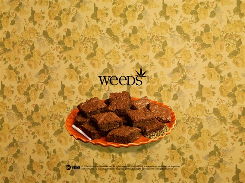 单身毒妈Weeds