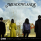 牧草地Meadowlands