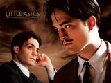 Little Ashes
