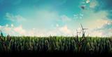 bd54501f137ad8dd1ad57646