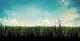 bd54501f137ad8dd1ad57646