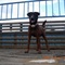 青川猎犬