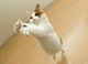cat (2)