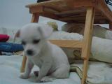 DSC04857 (Small)