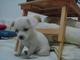 DSC04857 (Small)