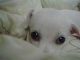 DSC04869 (Small)