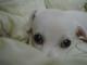DSC04869 (Small)